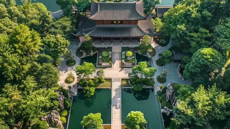 jinnianhui 金年会 春季苗木行情观察配图