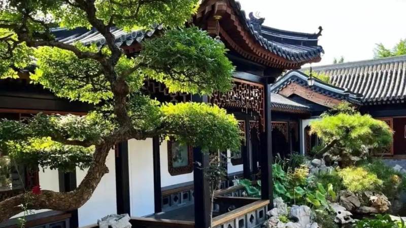 篮球比赛直播平台怎么选?看清这几个关键点不踩坑